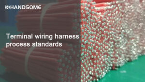 Terminal wiring harness process standards